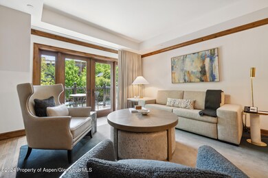 415 E Dean St Unit 37 Week 29, Aspen, CO 81611 - photo 4