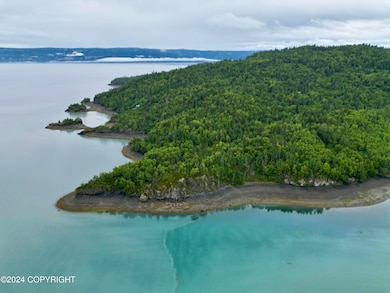 L2B Bear Cove, Homer, AK 99603 - photo 5