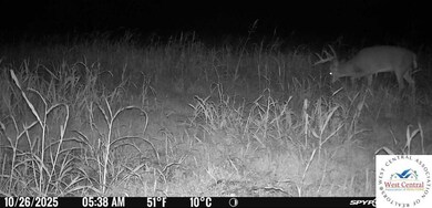 00 Tavern Creek Rd, Iberia, MO 65486 - photo 5