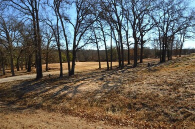 315 Falcon Dr, Weatherford, TX 76088 - photo 7