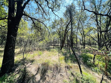 Tbd Interstate 20, Santo, TX 76472 - photo 3
