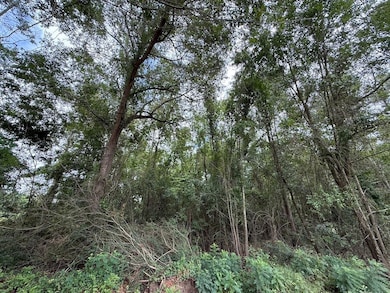 0 Live Oak Ln unit LotWP001, Barnwell, SC 29812 - photo 6