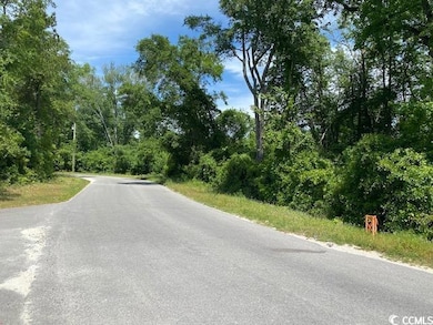 TBD Liz Ln, Conway, SC 29527 - photo 3