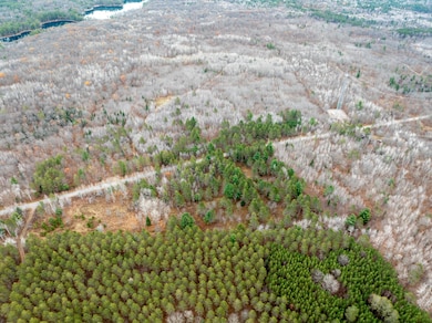 ON Sheep Ranch Rd, Rhinelander, WI 54501 - photo 4