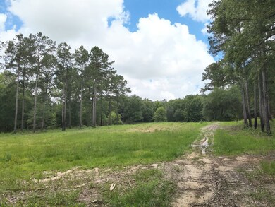 tbd County Line Rd, Pelham, GA 31779 - photo 4