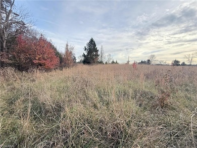 0 Tom Ball Rd, Randleman, NC 27317 - photo 4