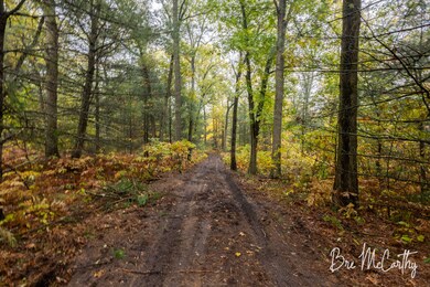 Parcel 4 - Driveway