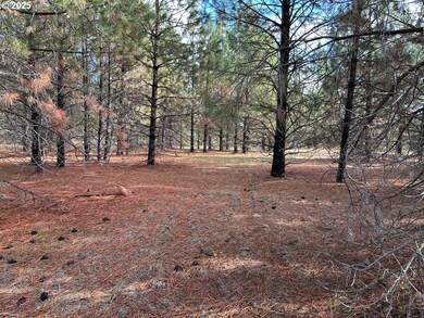 3 Garrison Rd, Goldendale, WA 98620 - photo 5