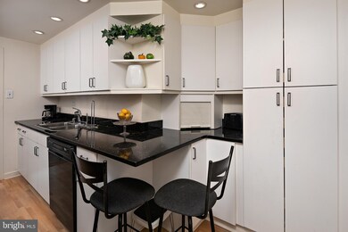 Watergate East Residences unit 1001-S, Washington, DC 20037 - photo 4