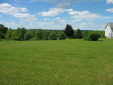 View. Back side yard view!