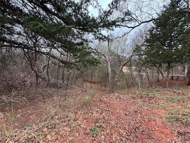 17545 E Coffee Creek Rd, Luther, OK 73054 - photo 2