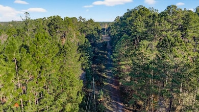 0 Do Hi Way, Hilliard, FL 32046 - photo 3