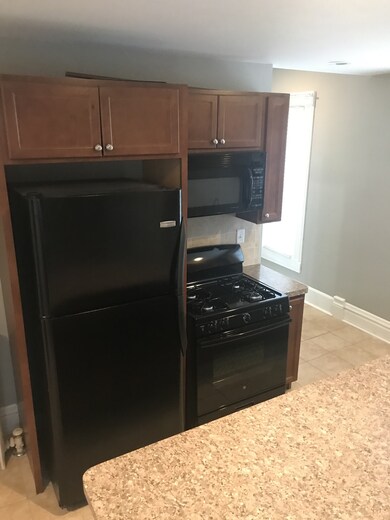 18 S Washington Ave unit BACK, Batavia, IL 60510 - photo 2