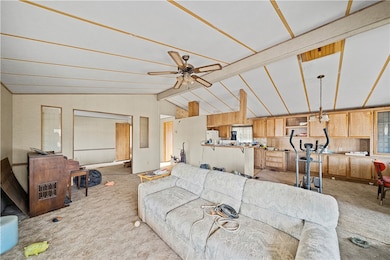 Living room featuring carpet flooring and a ceiling fan