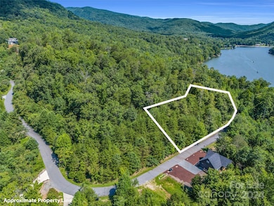 0 Holmstead Dr unit Lot 31 CAR4203501, Lake Lure, NC 28746 - photo 4
