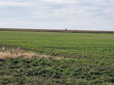 0 Cr K, Haswell, CO 81045 - photo 4