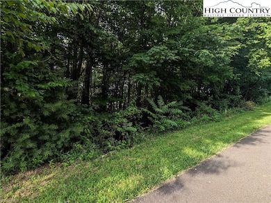 Lot 5 Briarwood Ln, Sparta, NC 28675 - photo 3