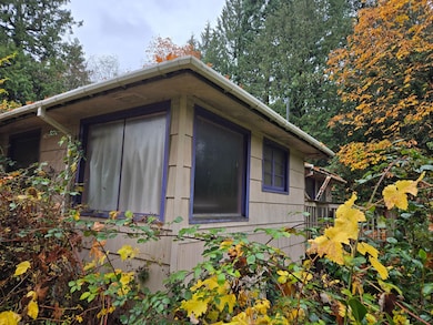 10415 Slater Ave NE, Kirkland, WA 98033 - photo 4