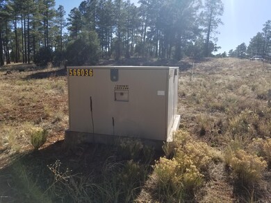 0 Whipple and Central unit 219962, Show Low, AZ 85901 - photo 7
