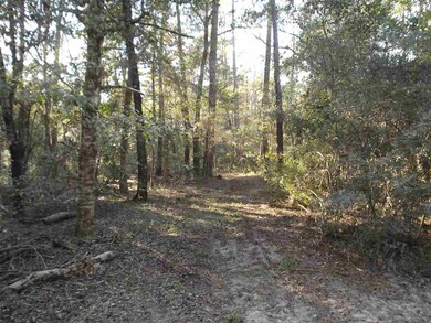 xx Roland Harvey Rd, Crawfordville, FL 32327 - photo 3