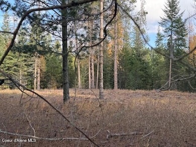 171 (temp) Bear Rd, Priest River, ID 83856 - photo 4