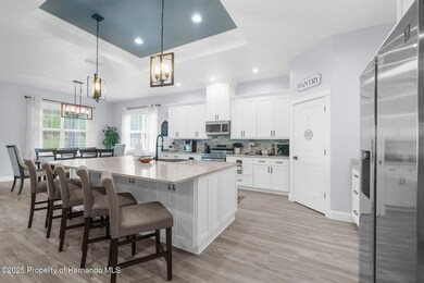 9170 Bunting Rd, Weeki Wachee, FL 34613 - photo 2