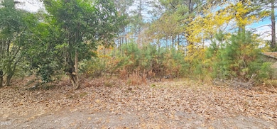 6026 Colonial Dr, Raleigh, NC 27603 - photo 6