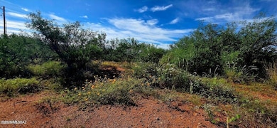 TBD 40 AC Ronald Reagan Pkwy, Whetstone, AZ 85616 - photo 5