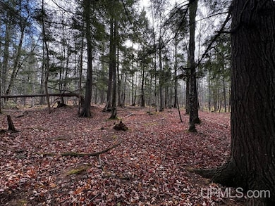 TBD Skanee Rd, Skanee, MI 49962 - photo 2