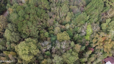 0 Mount Sinai Rd, Foxworth, MS 39483 - photo 6