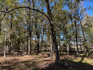 197 Deer Valley Cir, Broken Bow, OK 74278 - photo 6