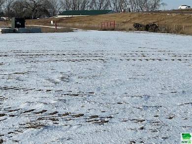 TBD 330th St, Jefferson, SD 57038 - photo 6