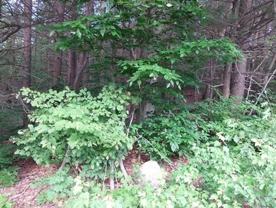 0 Huntoon Hwy unit 71850881, Leicester, MA 01524 - photo 2