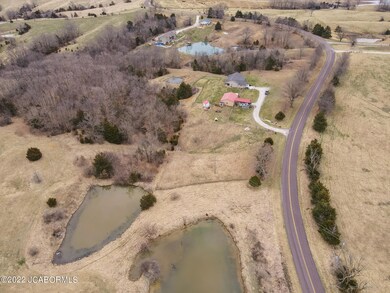 DJI_0313
