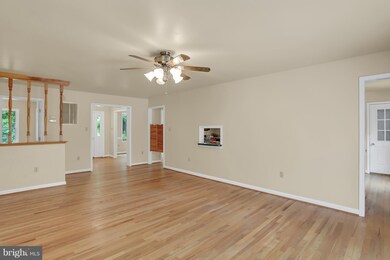 40 Hackleys Mill Rd, Amissville, VA 20106 - photo 4