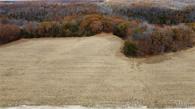 Tract 4 Polston Ln, Hickory Grove Township, MO 63357 - photo 3