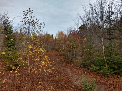 IMG_20191022_135046055_HDR