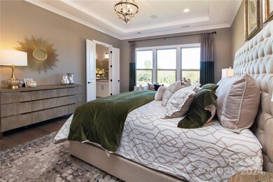 REPRESENTATIVE PHOTO