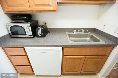 424 Lark Ln, Ocean City, MD 21842 - photo 7