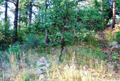 625 Aspen