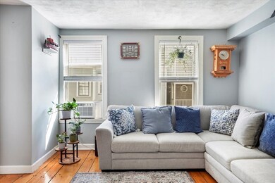 143 W 8th St unit 2, Boston, MA 02127 - photo 3