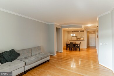 4310V Cannon Ridge Ct unit V, Fairfax, VA 22033 - photo 7