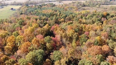 1801 County Road 175, Jeromesville, OH 44840 - photo 2