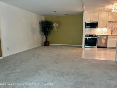 1740 Wellington Rd unit 211, Lansing, MI 48910 - photo 7