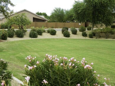Community Park