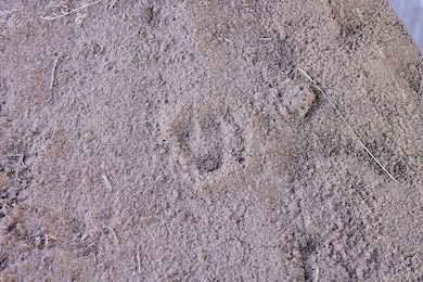 0 Maple unit 25650217, Bly, OR 97622 - photo 2