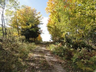 12.5 ac. Schmidt Ln, Argonne, WI 54511 - photo 3