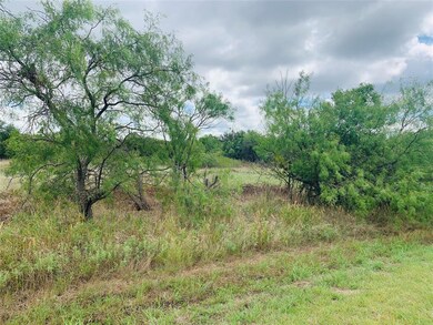 22128 Stanwood Dr, Whitney, TX 76692 - photo 2