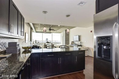 Silo Point unit 317, Baltimore, MD 21230 - photo 7