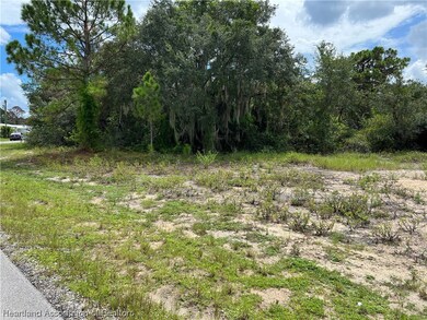 229 Sunbeam Ct, Lake Placid, FL 33852 - photo 3